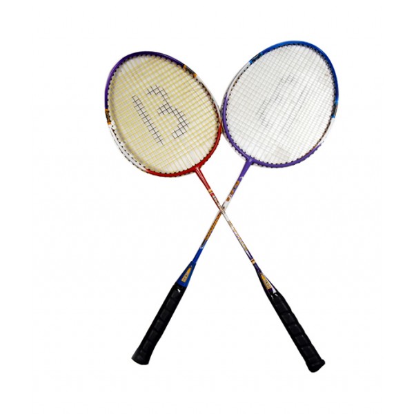 AVM Bees Badminton Set